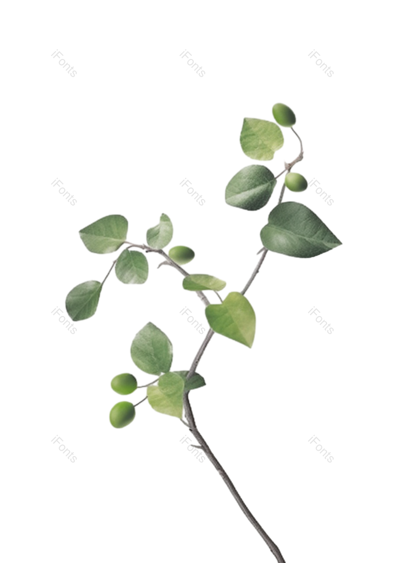 叶子图片,元素元素,卡通PNG,清新免抠素材